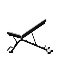 BANCO DE MUSCULATION AJUSTABLE - Profesional