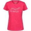 Regatta Camiseta Fingal VI Flor Para Mujer Rosa Rethink -Equipo De Fitness camiseta fingal vi flor para mujer rosa rethink