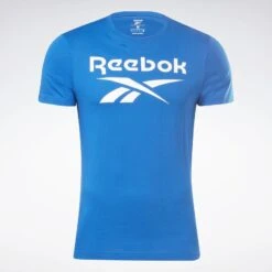 Equipo De Fitness -Equipo De Fitness camiseta reebok identity big logo 1