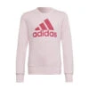 ADIDAS Sudadera Essentials -Equipo De Fitness sudadera essentials